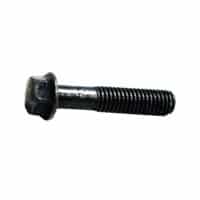 Bolt Flange 6X30