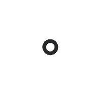 O-Ring 4X2