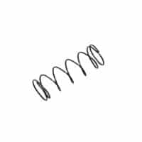 SPRING BRUSH