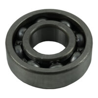 BEARING BALL 6203