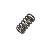Spring Valve
