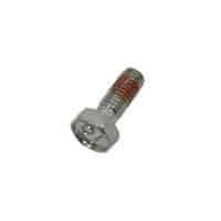 BOLT DISK 6X17 R 8X20