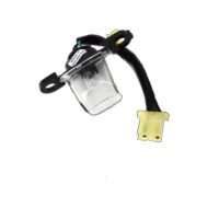Light Assy License