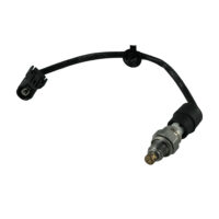 Sensor Oxygen