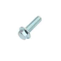 Bolt Flange 6X20