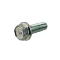 Bolt Flange 8X25